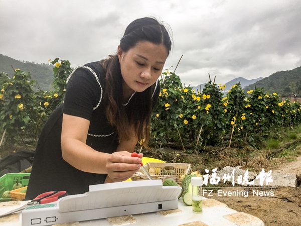 福州建立全省首个村级蔬菜检测制度　把关菜篮子安全