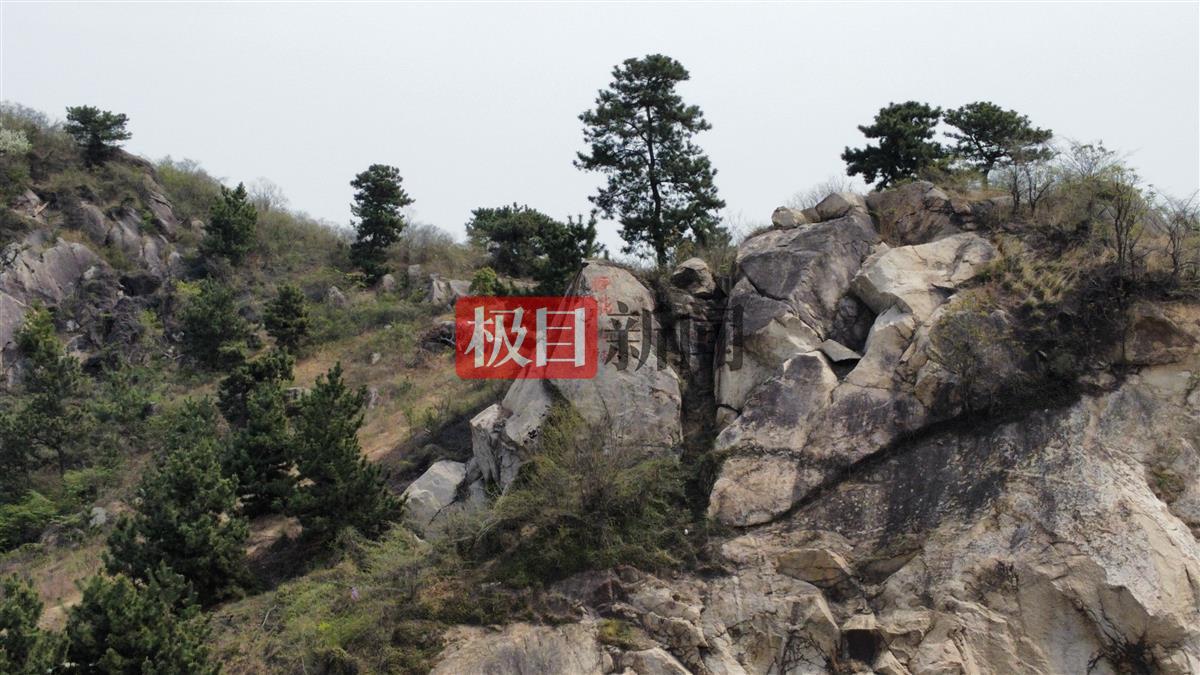 蚌埠一公司租千亩山林建生态园，却违规建96座墓穴出售，官方：多人已被判刑或处分