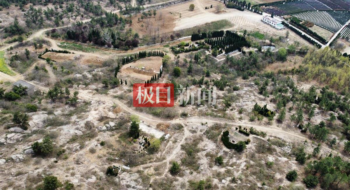 蚌埠一公司租千亩山林建生态园，却违规建96座墓穴出售，官方：多人已被判刑或处分