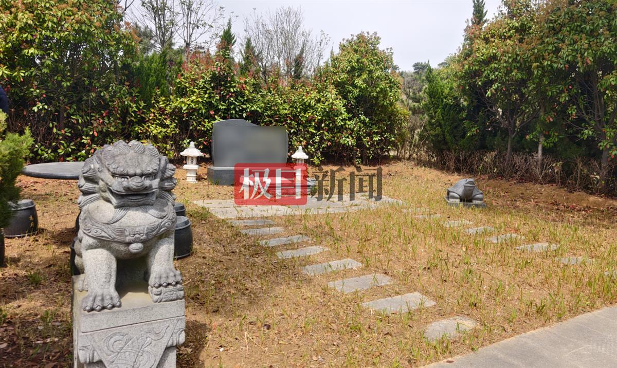 蚌埠一公司租千亩山林建生态园，却违规建96座墓穴出售，官方：多人已被判刑或处分