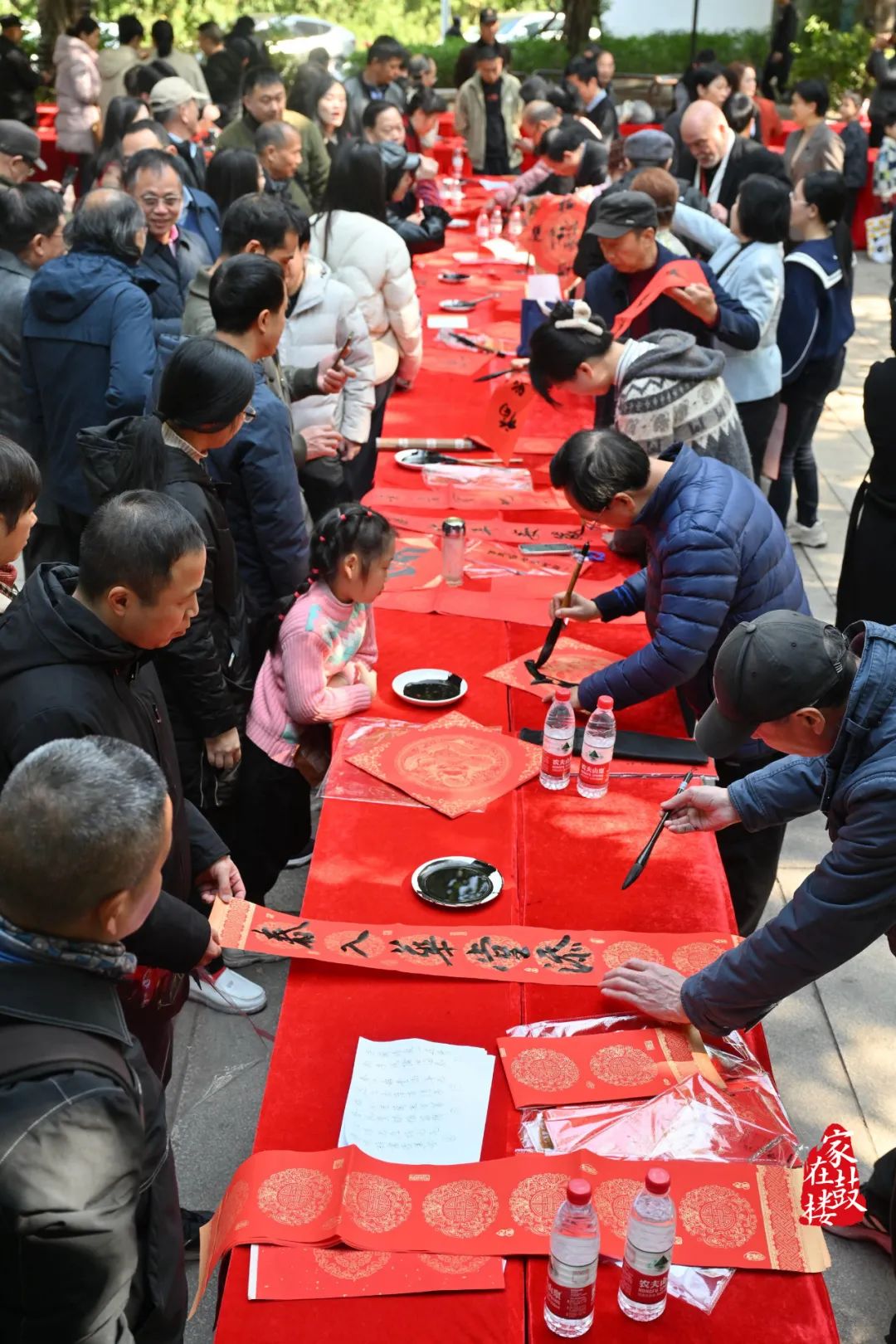 【网络中国节·春节】翰墨飘香迎新春！今天，鼓楼这里福气满满！