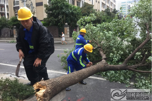 东街街道街道城管中队和环卫站工作人员对沿街倒伏在地的行道树第一时间进行搬离.png