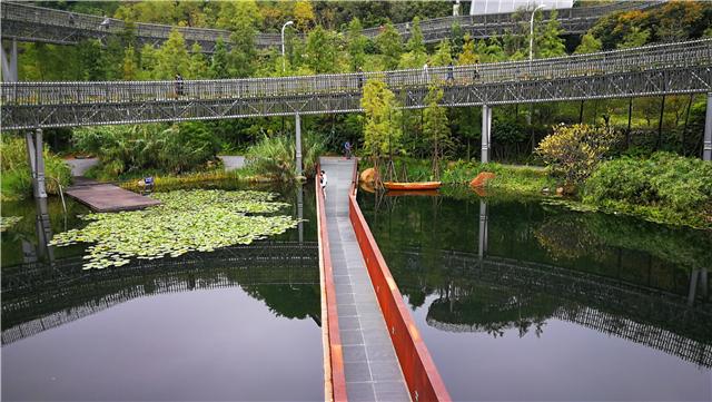 福州“福道”：市民消闲散步好去处 曾获“国际建筑大奖”